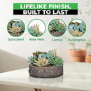 Premium Assorted Artificial Succulent Collection - Large Real Touch Artificial Cactus, Aloe Vera & Succulent Plants Artificial with Pots for Home Office Indoor (Artificial Tree Stump - Pot) by CozyNest Decor