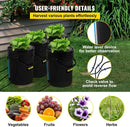 VEVOR DWC Hydroponic System, 5 Gallon 4 Buckets, Deep Water Culture Growing Bucket, Hydroponics Grow Kit with Pump, Air Stone and Water Level Device, for Indoor/Outdoor Leafy Vegetables by GreenHaven Gardens