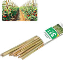 3ft Natural Bamboo Plant Stakes for Tomatoes, Beans, Flowers, Potted, Climbing Plants 25pcs by GreenHaven Gardens