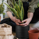 6 Inch Plant Pots, Ceramic Planter Pot with Drainage Hole & Saucer, Indoor/Outdoor Cylinder Round Planter Pot, Matte Black by CozyNest Decor
