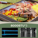 R.W.FLAME 3-Burner Tabletop Propane Gas Grill Stainless Steel Portable Outdoor Griddle,24,000 BTU Compact Flat Top Camping BBQ Grill,347 Sq. In. Cooking Area by GreenHaven Gardens