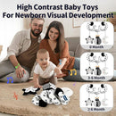 Car Seat Toys for Babies 0-6 Months,Hanging Rattle Toys for Crib Mobile, Baby Spiral Hanging Stroller Black and White High Contrast Toys for Newborn 0 3 6 9 12 Months Baby Boys Girls (Bug) by TinyTreasures Baby Boutique