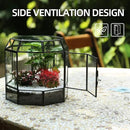 Large Glass Terrarium Handmade, Centerpiece Display Box Gift Planter Containers Indoor Terrariums House for Succulent Cacti Air Plants Miniature Fairy Garden by CozyNest Decor