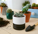 D'vine Dev 4.6 Inch Ceramic Planter Pot with Drainage Hole and Saucer, Indoor Cylinder Round Planter Pot, Layered Monochrome Black & White, 94-O-B-L by GreenHaven Gardens