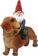 Funny Guy Mugs Gnome and a Dachshund Garden Statue- Indoor/Outdoor Garden Dog Gnome Sculpture for Patio, Yard or Lawn by GreenHaven Gardens