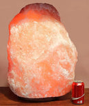 Giant Natural Himalayan Crystal Rock Salt Lamp 170~185 lbs by CozyNest Decor