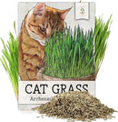 Seed Needs Cat Grass Seeds for Planting 10,000+ Seeds | Arrhenatherum Elatius Easy to Grow Non GMO Untreated | Oat Cat Grass Variety Seeds Great for Indoor Planting | Bulk by GreenHaven Gardens