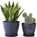 Docrin Ceramic Plant Pots Indoor, 6.6 + 5.5 Inch Planters with Drainage Holes and Saucer for Home/Office - Set of 2 /Blue Honeycomb by GreenHaven Gardens