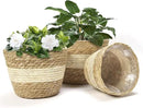 Athaliah Plant Basket, 3 PCS Plant Baskets Indoor with Plastic Liner, Water Hyacinth and Corn Stalk Woven Planters Flower Basket, Planter Basket for Rustic Home Floor Potted Pots Decor by CozyNest Decor