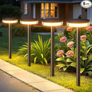 LETMY Solar Pathway Lights Outdoor, 6 Pack 2X Brighter Solar Lights Outdoor Waterproof, Taller Pathway Light with Larger Panel, Auto On/Off Up to 12Hrs Driveway Light for Yard Outside Patio Path Lawn by CozyNest Decor