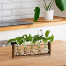 YIBOT Plants Propagation Stations,Plant Terrarium with Wooden Stand,Wall Hanging Glass Planter Plant Propagation Vase for Indoor Office Home Garden Decor Plant Lover Gifts for Women-5 Bulbs by CozyNest Decor