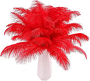 THARAHT Red Ostrich Feathers 12pcs Natural Bulk 10-12Inch 25cm-30cm for Crafts Wedding Party Centerpieces Halloween and Home Decoration Feathers by CozyNest Decor