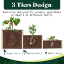 AMERLIFE 3-Tier Raised Garden Bed for Outdoor Gardening, Fir Wood Planter Box with Dividers, Tool-Free Assembly, Garden Box Perfect for Vegetables, Herbs, and Flowers by GreenHaven Gardens