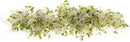 Broccoli Seeds for Sprouting & Microgreens | Waltham 29 Variety | Non GMO & Heirloom Seeds | Bulk 1 LB (16 oz) Resealable Bag | Rainbow Heirloom Seed Co. by GreenHaven Gardens