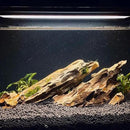 Dragon Rocks Aquariums Stones Natural Rocks for Aquascaping, Aquariums, Terrariums, Vivariums Decorative Stone,Reptile Enclosures,Paludariums,and Gardens-10LB（2 to 7 inch） by CozyNest Decor
