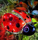 Teaeeno Ladybug Solar Lantern Pattern Light,Hanging Waterproof LED Solar Lights Outdoor Decorative,Sun-Powered Tabletop Lanterns,Metal Solar-Powered Lantern Outdoor by GreenHaven Gardens