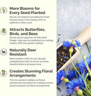 Eden Brothers Royal Meadow Flower Mixed Seeds for Planting, 1 lb, 480,000+ Seeds with Morning Glory, African Daisy | Attracts Pollinators, Plant in Spring or Fall, Zones 3, 4, 5, 6, 7, 8, 9, 10 by GreenHaven Gardens