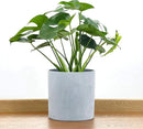 FaithLand Plant Pot 10 inch - Perfectly Fits Mid-Century Modern Plant Stand - Drainage Plug and Drainage Mesh Screen - Gray Planter Pot by GreenHaven Gardens