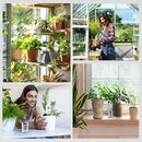 RAINPOINT Light-Driven Thermo-Hygrometer & Smart Digital Wireless Soil Moisture Meter (WiFi Hub Needed) Kit, Real-time Monitor Sensor Gardening Plant Care Essentials by GreenHaven Gardens