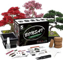 5 Bonsai Tree Kit Complete Plant Growing Tools, Grow in Pot Indoor Bonsai Tree Starter Kit, Great Home Gardening Potted Plants DIY Gift for Adults by GreenHaven Gardens