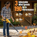 DeForce Electric Leaf Blower Cordless for Dewalt 20v Max Battery, 4 in 1 Blower, 3 Speed Modes, 190 MPH, Battery Powered Leaf Blower w/Extended Tube for Leaves, Lawn Care, Patio, Dust(Bare Tool Only) by GreenHaven Gardens