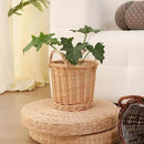 Handwoven Wicker Planter Basket with Waterproof Liner – Natural Yellow Decorative Flower Pot Holder for Indoor Use - Small Size (Inner Top Ø 7", Inner Height 5.9") by CozyNest Decor