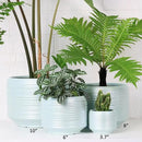 8 Inch + 6 Inch Ceramic Plant Pots Indoor with Drainage – Flower Pot Set, Decorative Indoor Planters for House Plants and Garden Use by CozyNest Decor