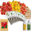 inbloom Strawberry & Tomato Seed Pod Kit for AeroGarden, Ahopegarden, GARDENCUBE, iDoo, MUFGA Hydroponics Growing System, 12-Pods with Heirloom Red/White Strawberry, Red/Golden Cherry Tomato Seeds by GreenHaven Gardens