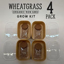Organic Wheatgrass Premium Grow Kit 4 Pack | Whetagrass Juice | Catgrass | Non GMO Mixed Seeds | Wheatgrass Shot by GreenHaven Gardens