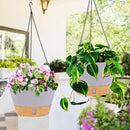 QCQHDU 2 Pack Hanging Planters for Indoor Outdoor Plants, 8 Inch Hanging Baskets Flower Pots with Reservoir Tray & Visible Water-Level by GreenHaven Gardens