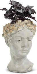 Abbott Collection Aphrodite Head Planter – Large Indoor and Outdoor Planter Pots - Whimsical Woman Statue Head Planter for Flowers and Succulents (10 inch, Grey/Gold) by GreenHaven Gardens