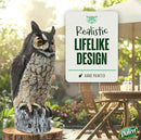 Dalen Large Fake Owl Decoy to Scare Birds Away - Garden Scarecrow Provides Natural Pest Control - 16" Tall - Great Horned Owl by CozyNest Decor