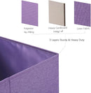 HOONEX Foldable Storage Bins with Lids, Pack of 2, Storage Boxes with 2 Carrying Handles and Sturdy Heavy Cardboard, 16.5" L x 11.8" W x 7.5" H for Shoes, Books, Clothes, Purple by TinyTreasures Baby Boutique