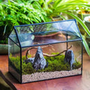 NCYP House Shape Glass Terrarium with Acrylic Lid - 10.2x5.9x8.2 Inches Large Geometric Box for Snails, Ferns, Succulents, Air Plants, Indoor Tabletop Decor, Handmade (Terrarium Only) by CozyNest Decor
