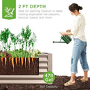 Best Choice Products 8x4x2ft Outdoor Metal Raised Garden Bed, Deep Root Planter Box for Vegetables, Flowers, Herbs, and Succulents w/ 478 Gallon Capacity - Taupe by GreenHaven Gardens