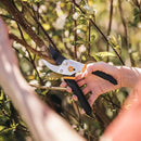 Fiskars Bypass Pruning Shears, 5/8-Inch Cut Capacity Garden Clippers, Gardening Scissors with Sharp, Rust Resistant Steel Blade by GreenHaven Gardens
