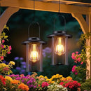 Solar Lantern Outdoor,Hanging Solar Lights Waterproof,Outdoor Wall Light Fixtures wiht Bulb,Outside Porch Lights Wall Mount for Front Garage Chicken Coop Farmhouse,2 Pack by CozyNest Decor