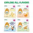 Little Bellies Organic Blueberry Puffs Baby Snack (Pack of 18 x 0.42 oz Individual Packs) by TinyTreasures Baby Boutique