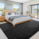 6x9 Area Rug for Living Room: Fluffy Shag Soft Washable Rugs Large Fuzzy Plush Indoor Carpet for Bedroom Nursery Playroom Kids Girls Boys Room (Black, 6'x9') by TinyTreasures Baby Boutique