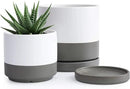 D'vine Dev 4.6 Inch & 6 Inch Ceramic Planter Pots for Plants with Drainage Hole and Saucer, Small Plant Pots Set, White/Speckled Grey, 94-G-S-6 by GreenHaven Gardens