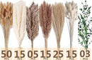 123 PCS Dried Flower Bouquet – Pampas Grass, Floral Decor for Home, Wedding, and Boho Style | Perfect for Vases, Fall, Spring, Summer, and Winter Arrangements by CozyNest Decor