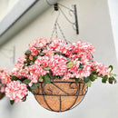 LaLaGreen Hanging Planter for Outdoor Plants (2 Pack, 12 Inch) Hanging Baskets with Coco Liner, Metal Wire Flower Basket Pots with Hook Hanger Balcony Porch Farmhouse Country Style Garden Decor by GreenHaven Gardens