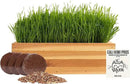 Cat Grass for Indoor Cats Kit – Organic & Handcrafted Cedar Planter with Fast-Growing Wheatgrass for Cats, Hairball Remedy with Pet-Friendly Planter (Natural) by GreenHaven Gardens