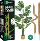 2 Pack 28'' Bendable Moss Pole Monstera Plant Support for Climbing Indoor Plants - Stakes for Potted Climbers - Tall Sticks Indoor Trellis for Houseplants - Accessories for Monstera Pot by GreenHaven Gardens