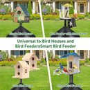 Smart Bird Feeder Pole with Squirrel Baffle & Bath-Heavy Duty Adjustable 3-6.6ft Universal Stand Mount for Backyard&Outdoor Bird Houses/Cameras (80'Pole-Baffle) by GreenHaven Gardens