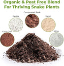 Perfect Plants Organic Snake Plant Soil in 8qt. Bag | Coco Coir Based Potting Mix Snake Plant Varieties by GreenHaven Gardens