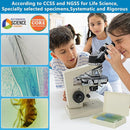 Microscope Slides with Specimens for Kids, 30 Lab-Grade Prepared Microscope Slides, Animal Plant Microbe Cells, STEM Biology Kit for Kids Ages 6-8 Homeschool, Classroom Labs & Science Education by TinyTreasures Baby Boutique