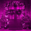 weillsnow Pink Halloween Lights Outdoor, 164 FT 500 LED String Lights Plug in, 8 Modes Waterproof Fairy Lights for Valentines Day, Halloween, Party, Wedding, Bedroom, Garden Decorations by GreenHaven Gardens