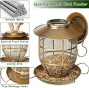 Bird Feeder for Outdoors, Funnel Style Wild Finch Feeders for Outside Hanging Courtyard Bird Watching, Metal Birdfeeder with Lid Fixing Buckle, 3Lbs Capacity by CozyNest Decor