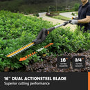 Alloyman 2-in-1 Telescoping Cordless Pole Hedge Trimmer 16-Inch and Pole Saw 8.6-Inch,with 2 Packs 4.0Ah Batteries & Charger,for Tree Trimming and Shrubs Pruning by GreenHaven Gardens